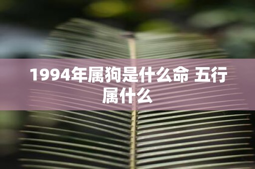 1994年属狗是什么命 五行属什么