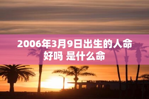 2006年3月9日出生的人命好吗 是什么命
