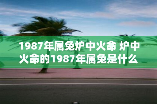 1987年属兔炉中火命 炉中火命的1987年属兔是什么命