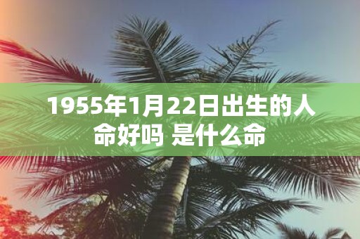 1955年1月22日出生的人命好吗 是什么命