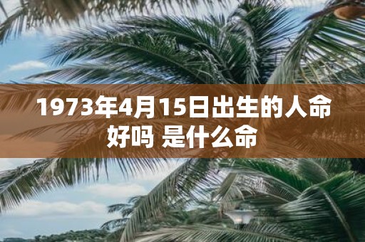 1973年4月15日出生的人命好吗 是什么命