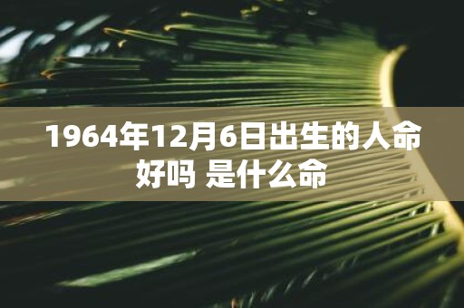 1964年12月6日出生的人命好吗 是什么命