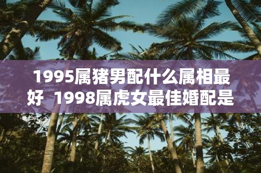 1995属猪男配什么属相最好 1998属虎女最佳婚配是