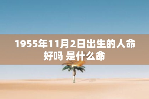1955年11月2日出生的人命好吗 是什么命