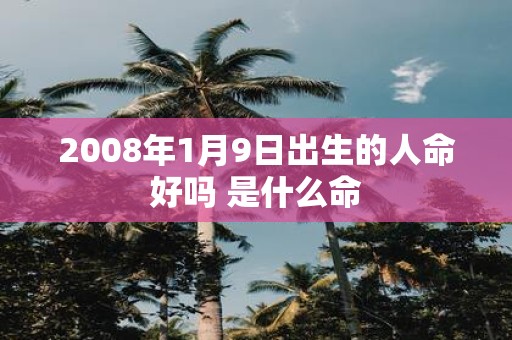2008年1月9日出生的人命好吗 是什么命