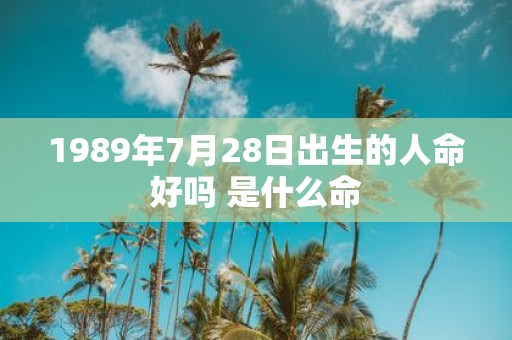 1989年7月28日出生的人命好吗 是什么命