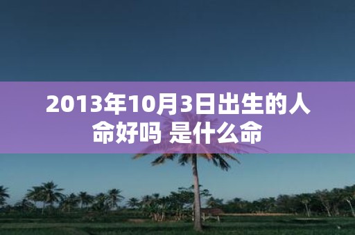 2013年10月3日出生的人命好吗 是什么命