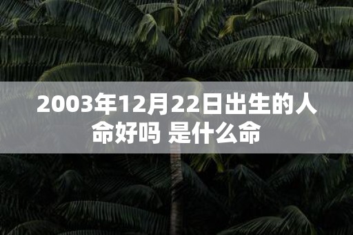 2003年12月22日出生的人命好吗 是什么命