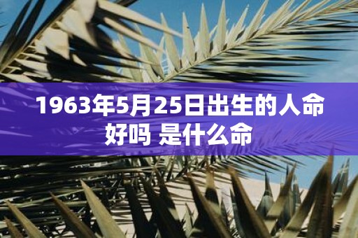 1963年5月25日出生的人命好吗 是什么命