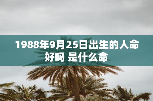1988年9月25日出生的人命好吗 是什么命