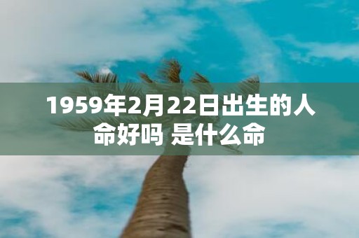 1959年2月22日出生的人命好吗 是什么命