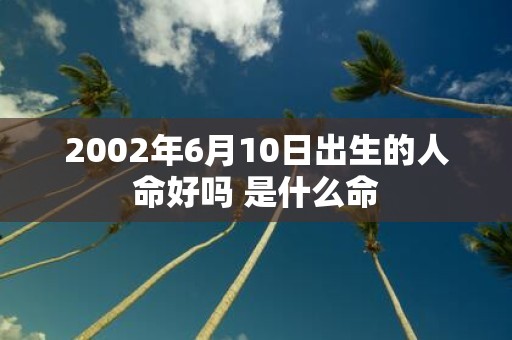 2002年6月10日出生的人命好吗 是什么命