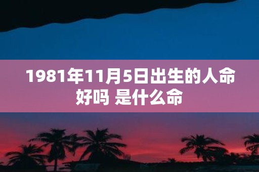 1981年11月5日出生的人命好吗 是什么命
