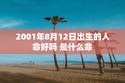 2001年8月12日出生的人命好吗 是什么命