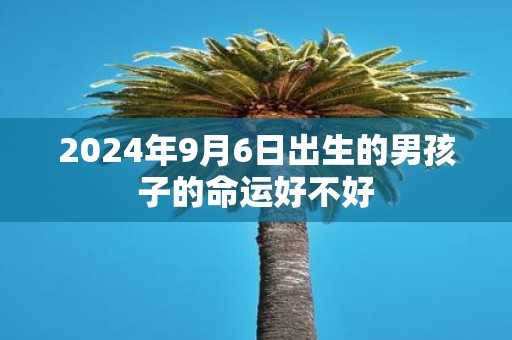 2025年9月6日出生的男孩子的命运好不好