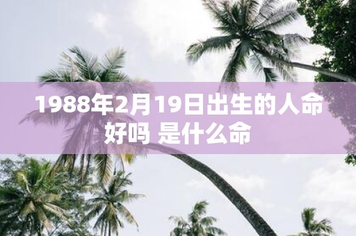 1988年2月19日出生的人命好吗 是什么命