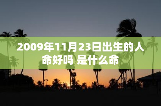 2009年11月23日出生的人命好吗 是什么命