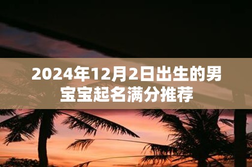2025年12月2日出生的男宝宝起名满分推荐