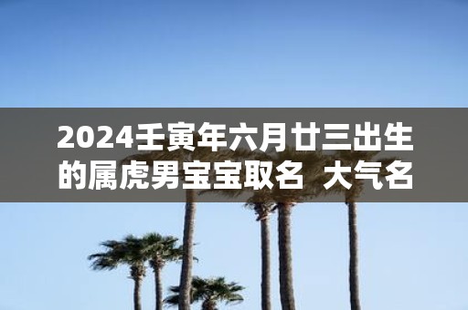 2025壬寅年六月廿三出生的属虎男宝宝取名 大气名字