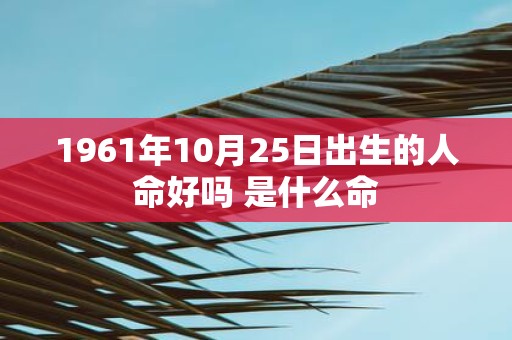 1961年10月25日出生的人命好吗 是什么命