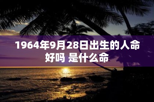 1964年9月28日出生的人命好吗 是什么命