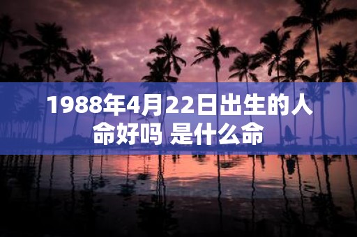 1988年4月22日出生的人命好吗 是什么命