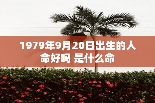 1979年9月20日出生的人命好吗 是什么命
