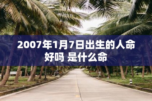 2007年1月7日出生的人命好吗 是什么命