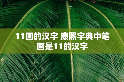11画的汉字 康熙字典中笔画是11的汉字