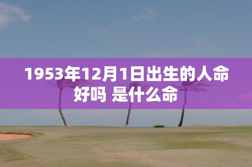 1953年12月1日出生的人命好吗 是什么命