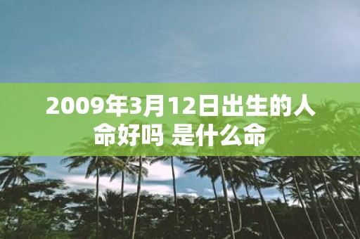 2009年3月12日出生的人命好吗 是什么命