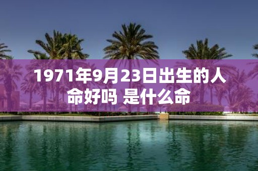 1971年9月23日出生的人命好吗 是什么命