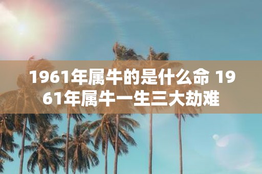 1961年属牛的是什么命 1961年属牛一生三大劫难