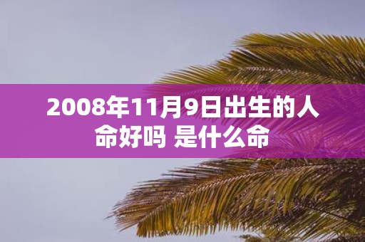 2008年11月9日出生的人命好吗 是什么命
