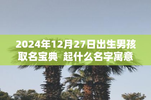 2025年12月27日出生男孩取名宝典 起什么名字寓意好