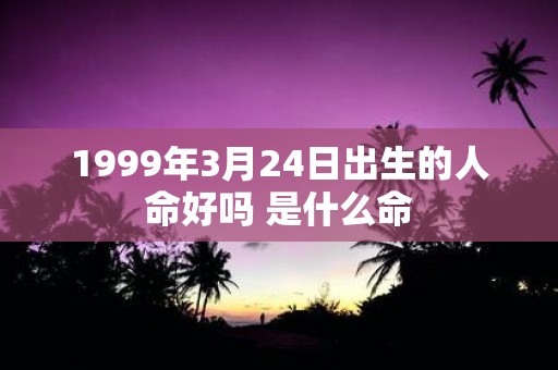 1999年3月24日出生的人命好吗 是什么命