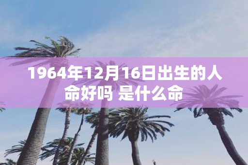 1964年12月16日出生的人命好吗 是什么命