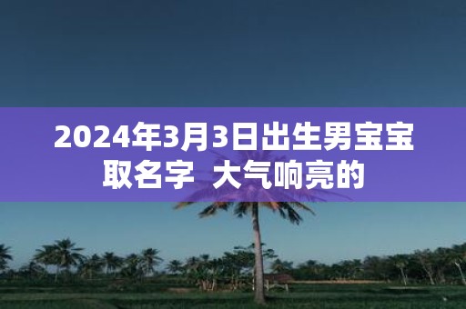 2025年3月3日出生男宝宝取名字 大气响亮的