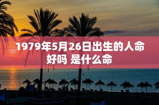 1979年5月26日出生的人命好吗 是什么命