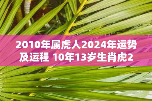2010年属虎人2025年运势及运程 10年13岁生肖虎2025年每月运势
