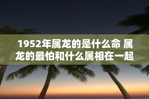 1952年属龙的是什么命 属龙的最怕和什么属相在一起