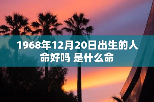 1968年12月20日出生的人命好吗 是什么命