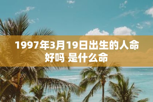 1997年3月19日出生的人命好吗 是什么命