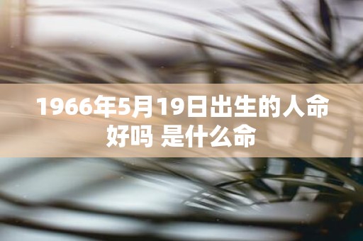 1966年5月19日出生的人命好吗 是什么命