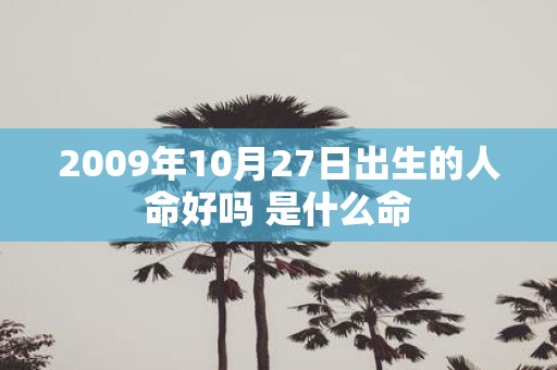 2009年10月27日出生的人命好吗 是什么命