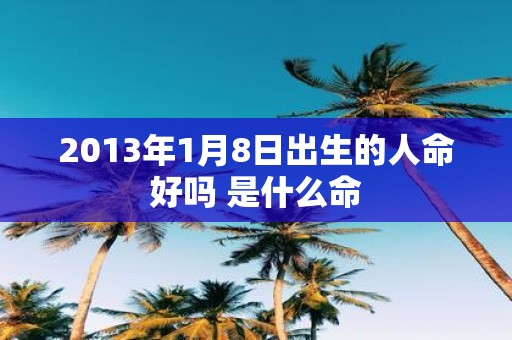 2013年1月8日出生的人命好吗 是什么命