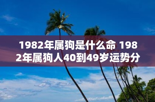1982年属狗是什么命 1982年属狗人40到49岁运势分析