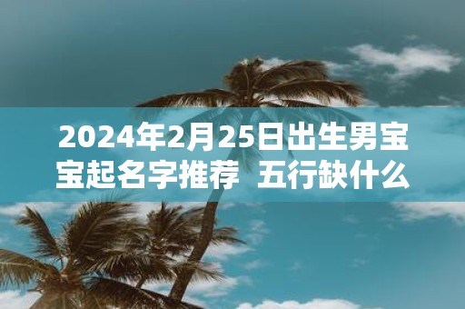2025年2月25日出生男宝宝起名字推荐 五行缺什么