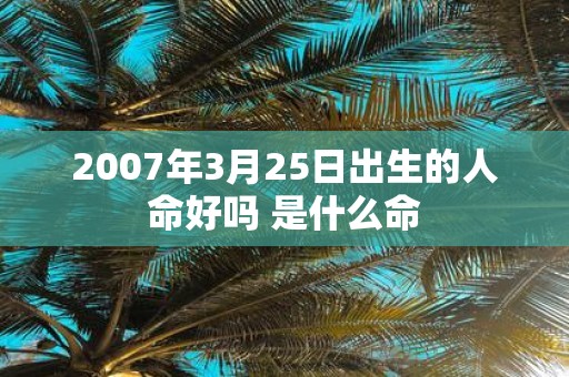 2007年3月25日出生的人命好吗 是什么命