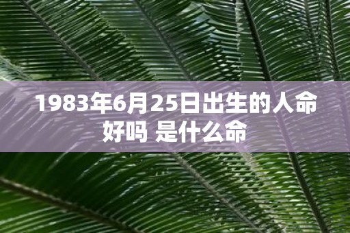 1983年6月25日出生的人命好吗 是什么命
